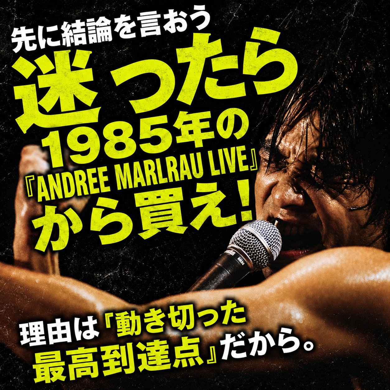 『迷ったら1985年のANDREE MARLRAU LIVEから買え』という結論と、マイクに向かって叫ぶ歌手のイメージを組み合わせた解説画像