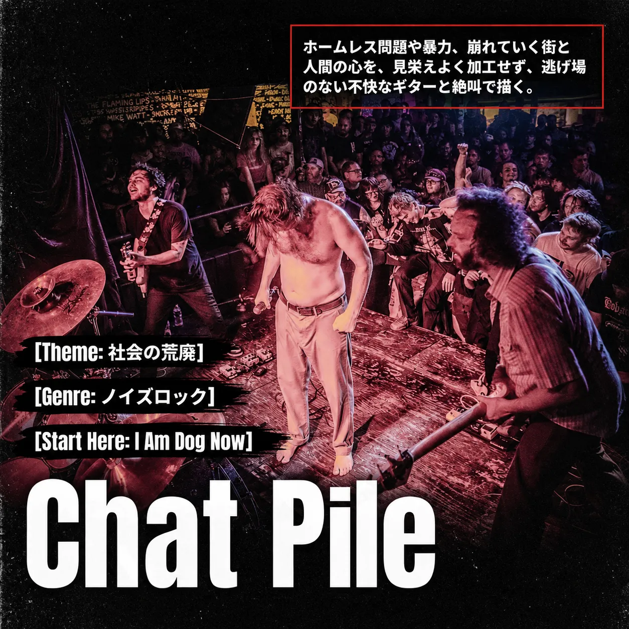 ノイズロックバンドChat Pileのライブ写真。上半身裸のボーカルがステージ中央に立ち、観客が密集する中で熱演する様子。テーマは社会の荒廃、ジャンルはノイズロック、入門曲はI Am Dog Nowと記載。