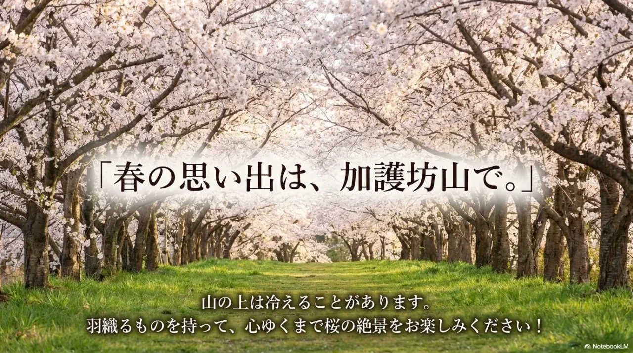 桜並木の道と春の余韻を伝える加護坊山の締め用画像