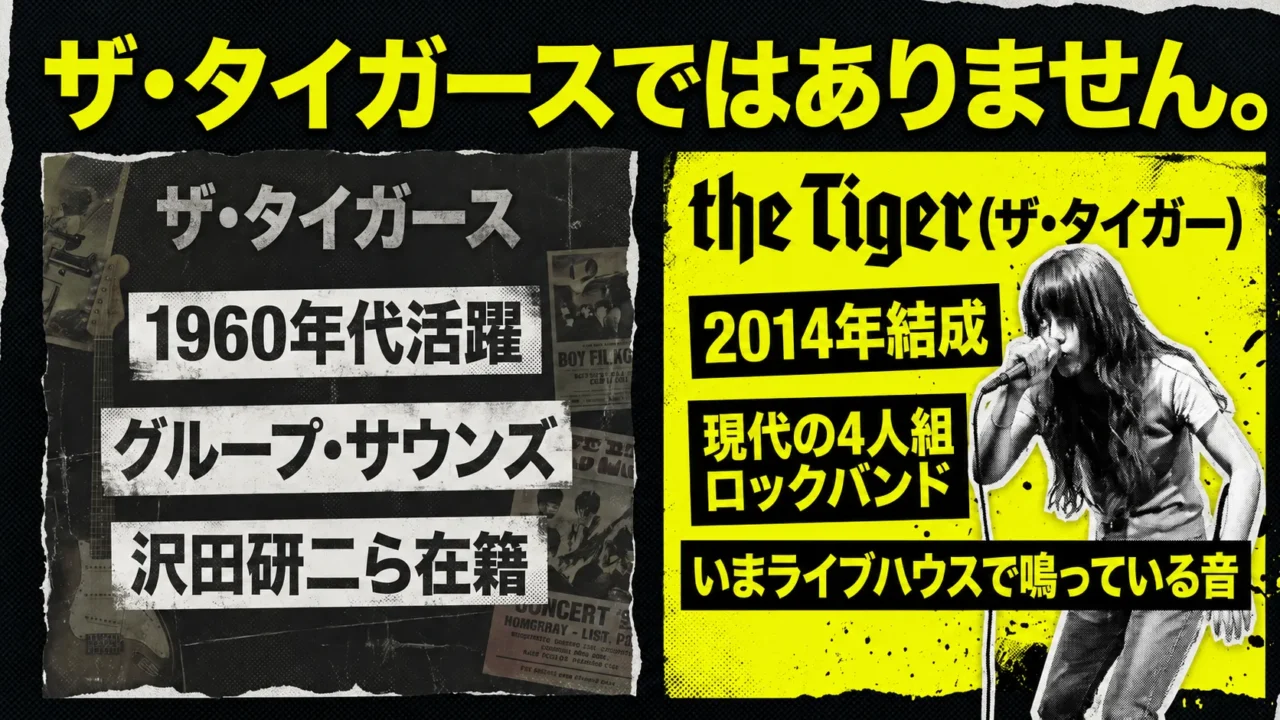 the Tigerとザ・タイガースの違いを比較した解説画像